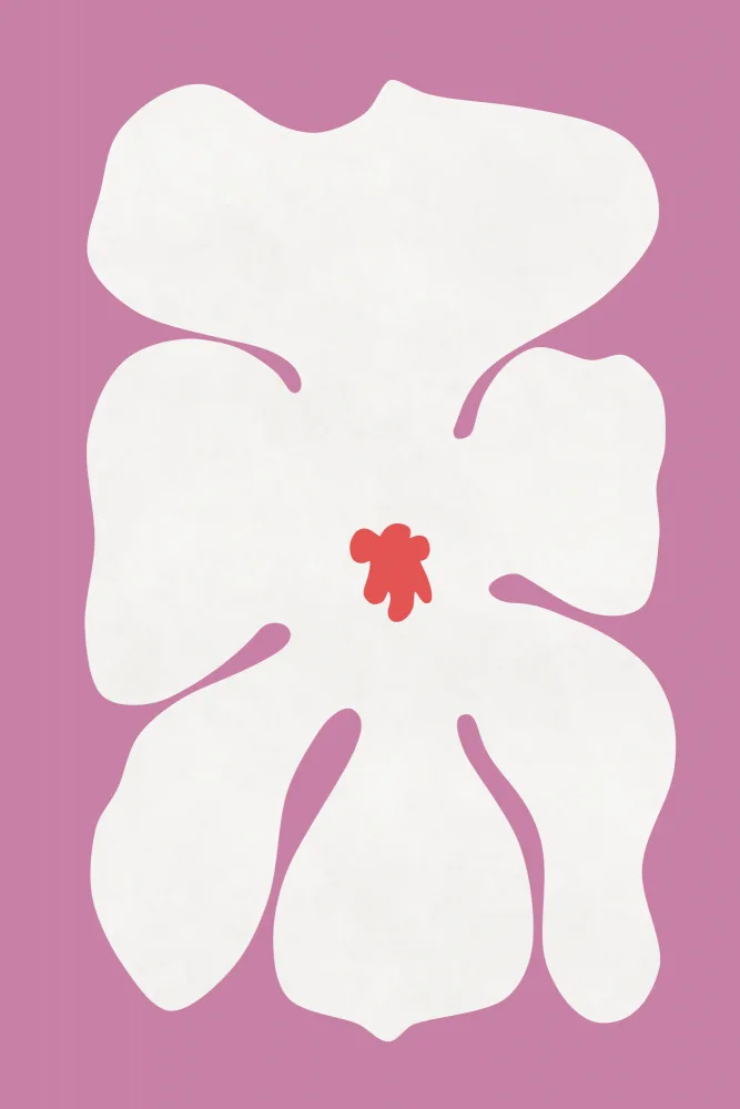 amini54: Bílý květ orchideje