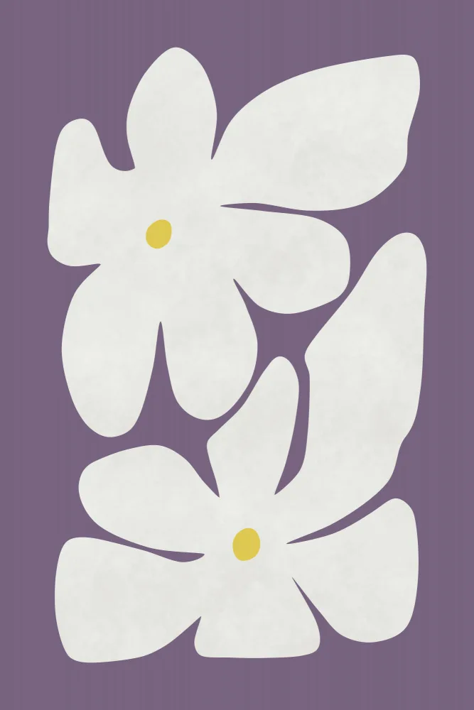 amini54: Fleur de narcisse blanc