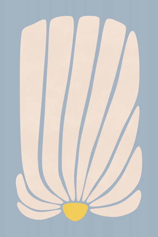 amini54: Fleur de Gerbera blanche