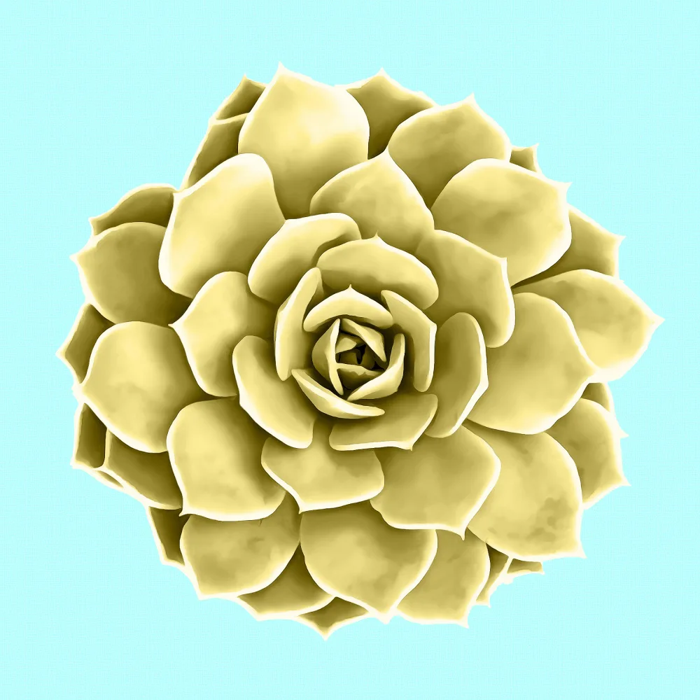 amini54: Yellow Succulents on Teal