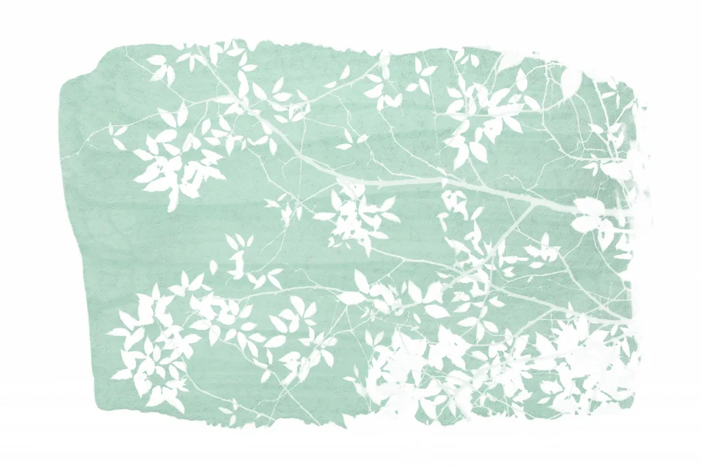 amini54: Mint Tree Foliage Silhouette