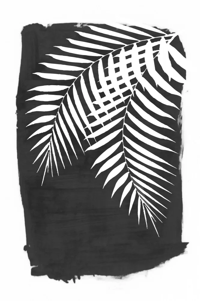amini54: Black Palm Leaves Foliage Silhouette