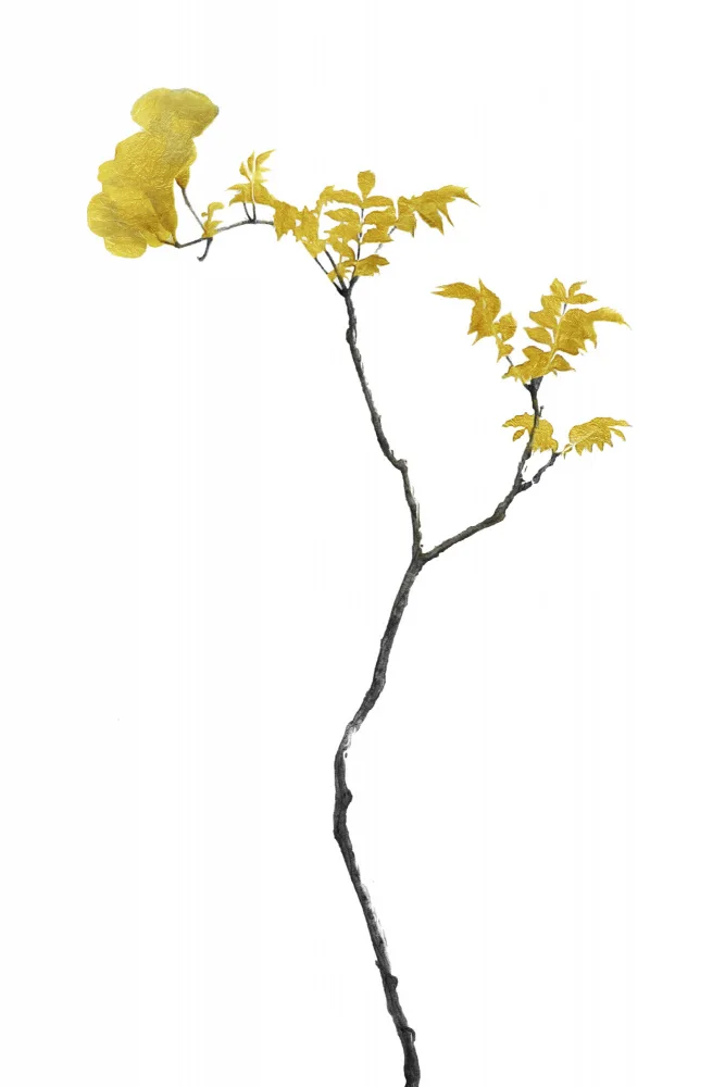 amini54: Fleur Minimale Noir et Or 01