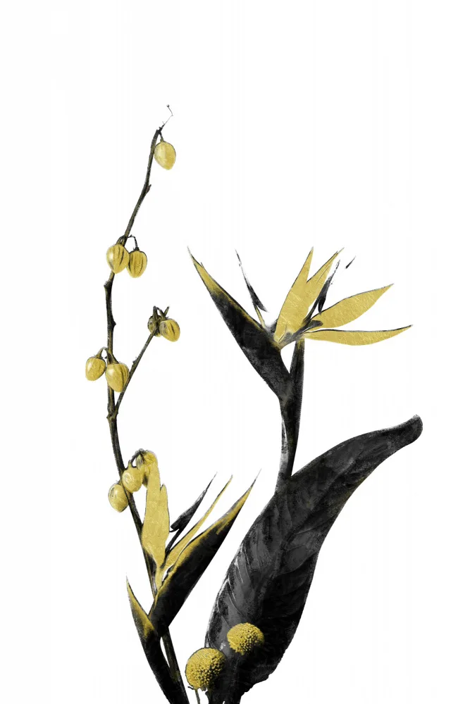 amini54: Fleur Minimale Noir et Or 02