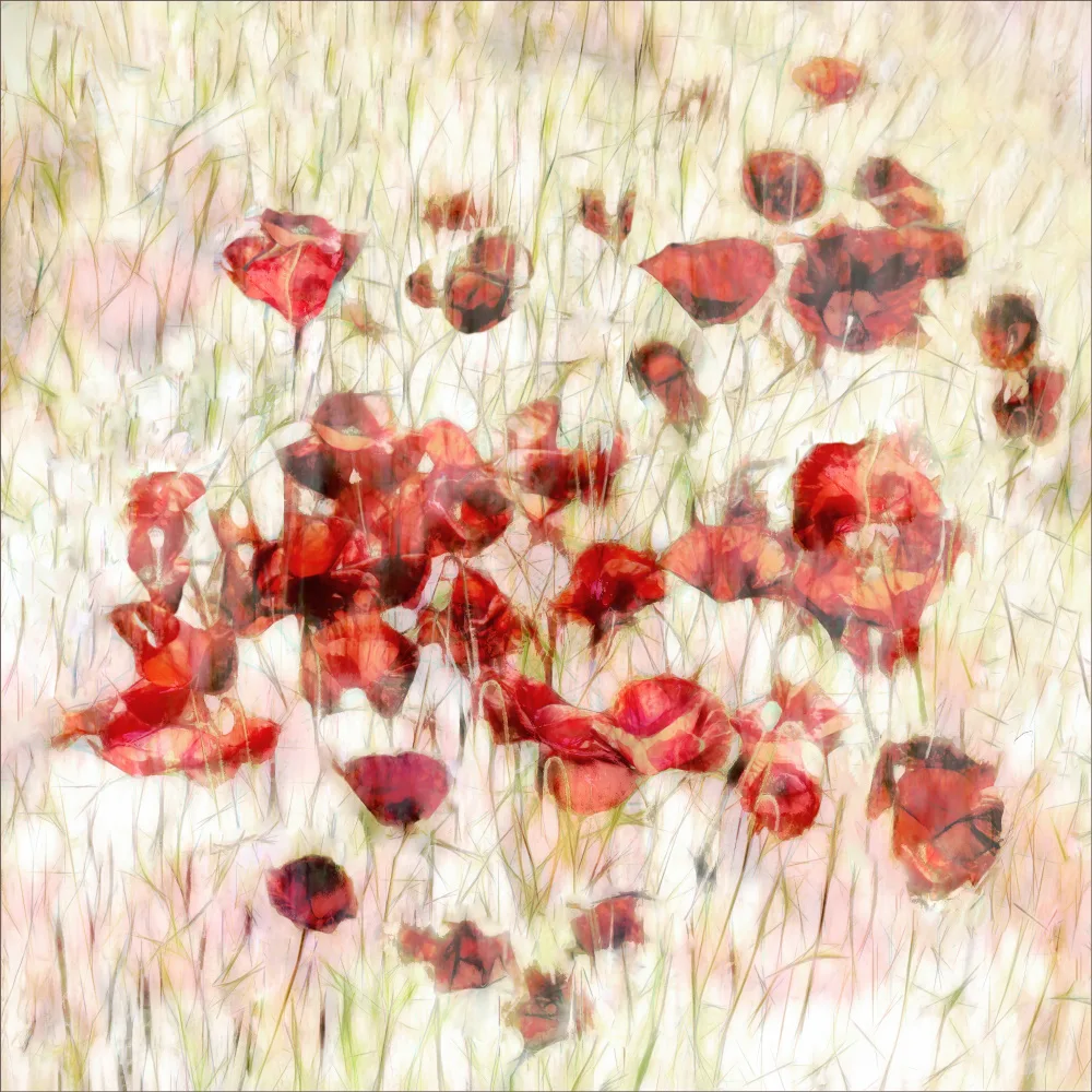 Claes, Gilbert: Königinnen der freien Natur