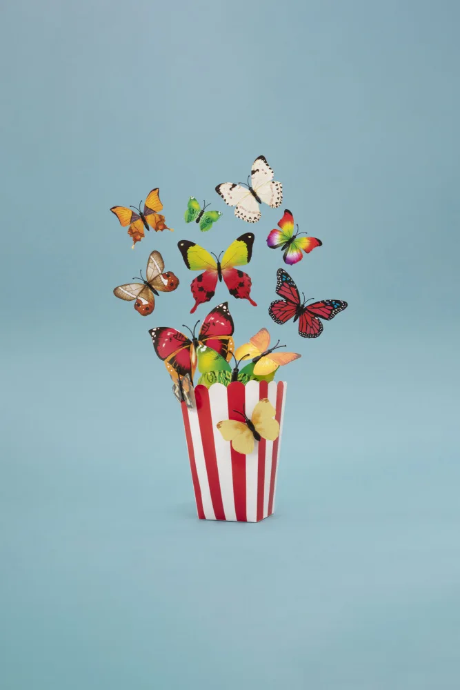 Ramiro, Julia: Popflies-Hülle
