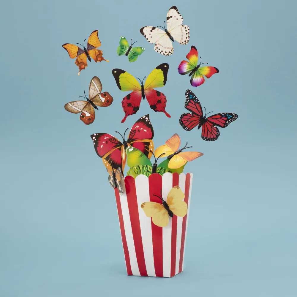 Ramiro, Julia: Popflies