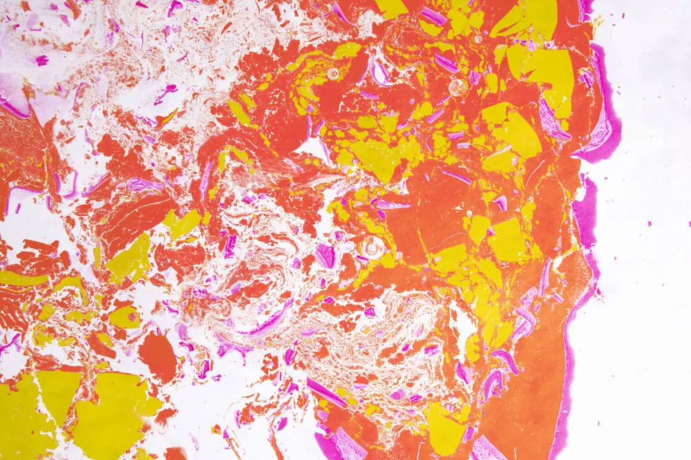 Ramiro, Julia: Pittura 11