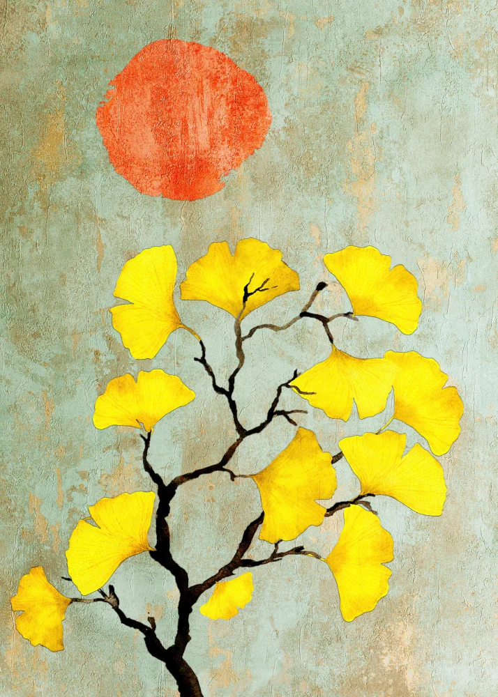 Jaszke, Justyna: Ginko biloba y sol