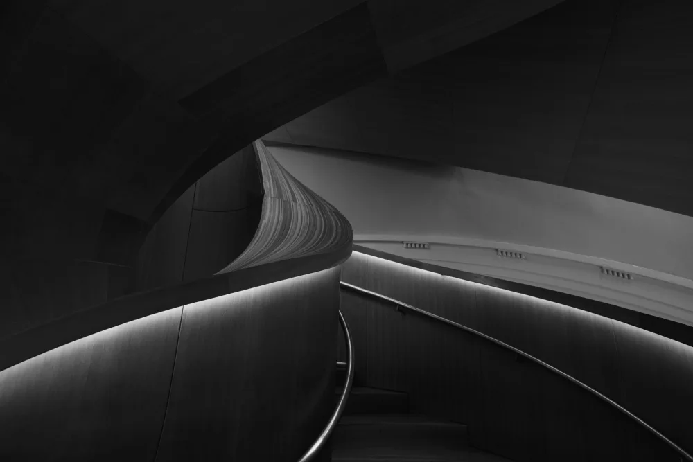 Zhao, Emma: Licht und Linien