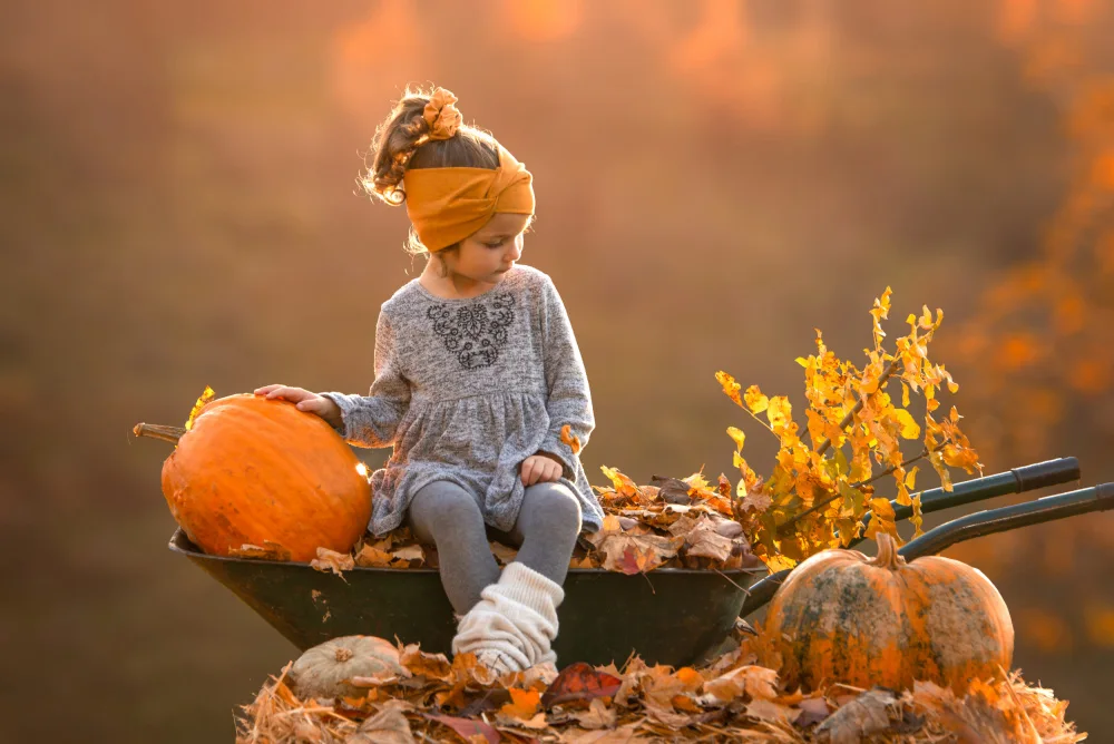 Šimic, Joško: Autumn girl