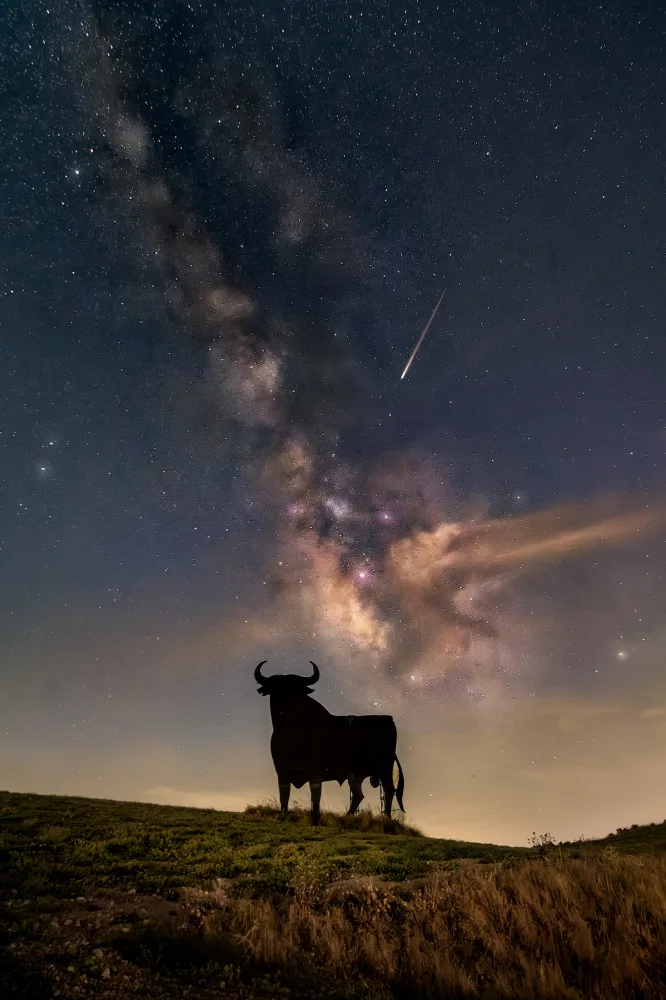 Seco, Luis Juan: Un toro galattico...