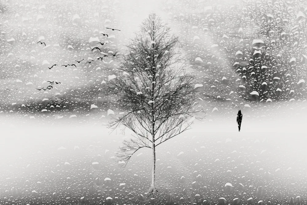 Bogdan, Marchevca: Pioggia invernale