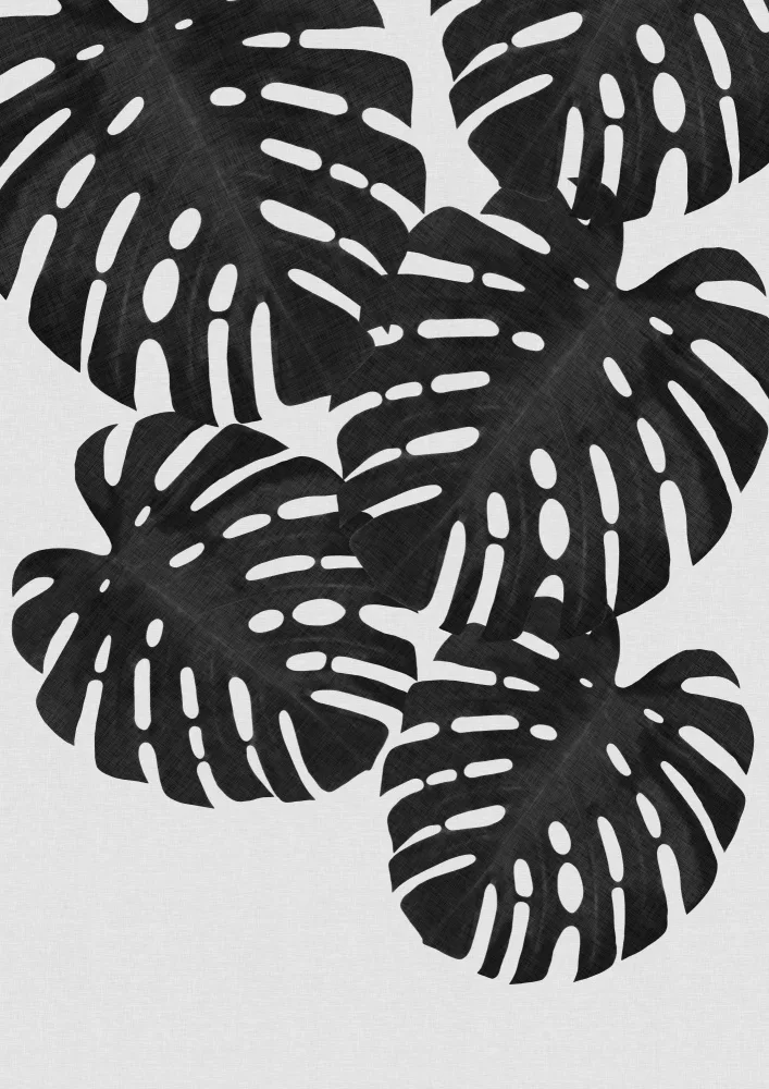 Studio, Orara: Monstera Leaf Black & White I