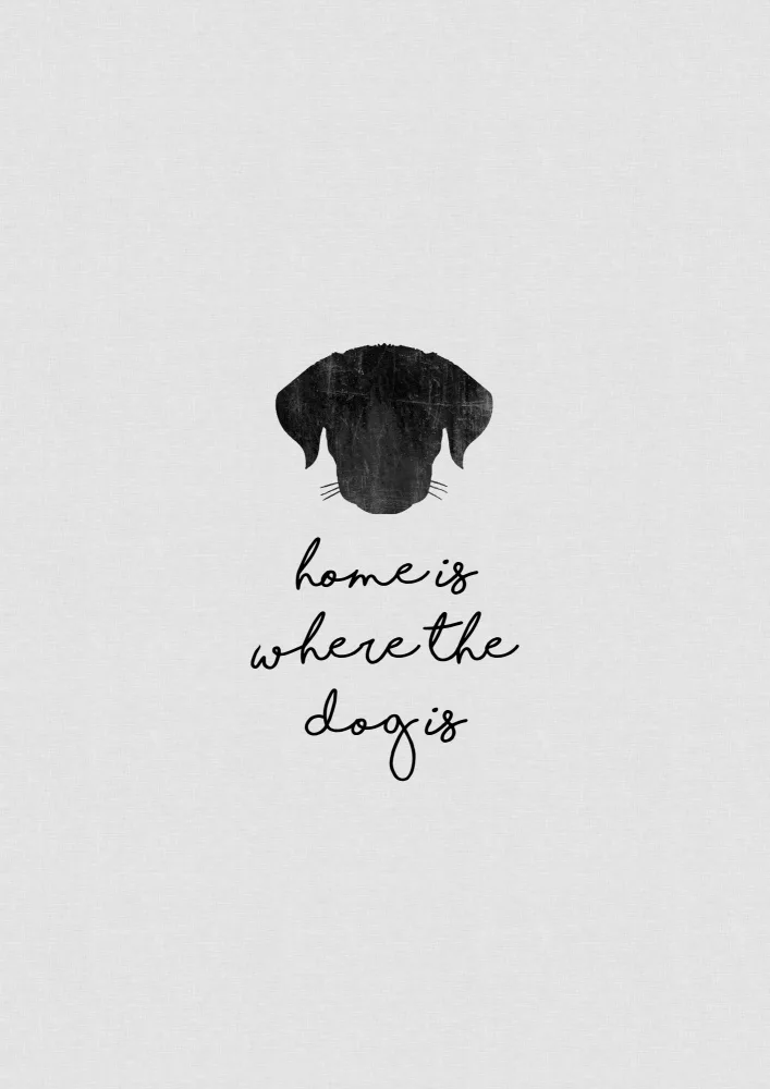 Studio, Orara: Home Is Where the Dog Is