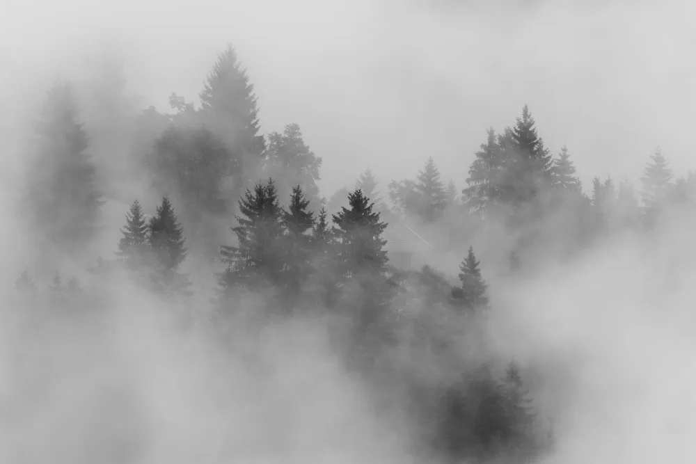 Dauer, Andy: otoño