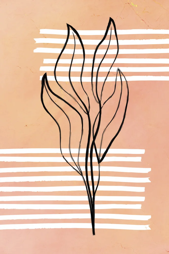 Martina: Plante Orange