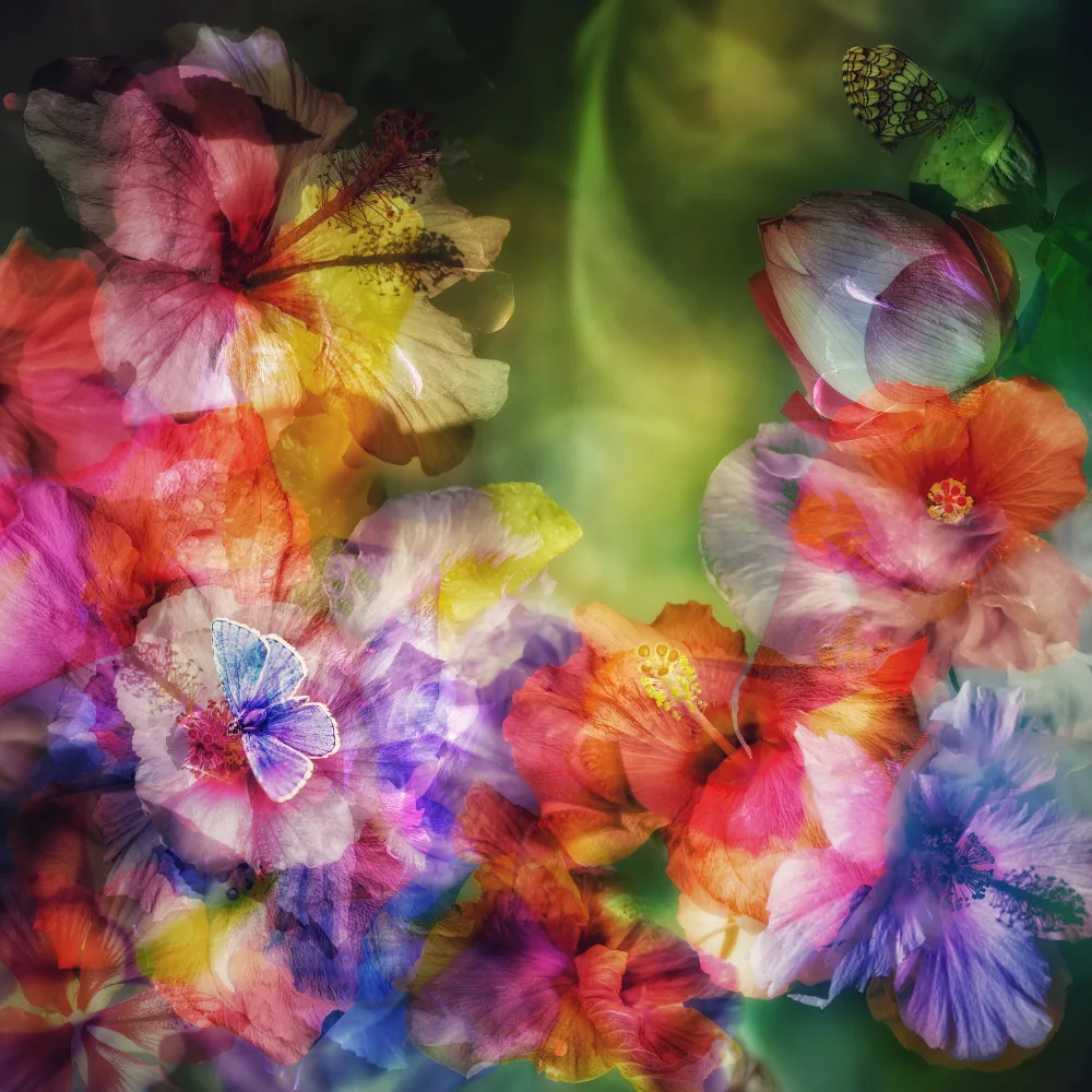 Shumilova, Ludmila: Luce in movimento