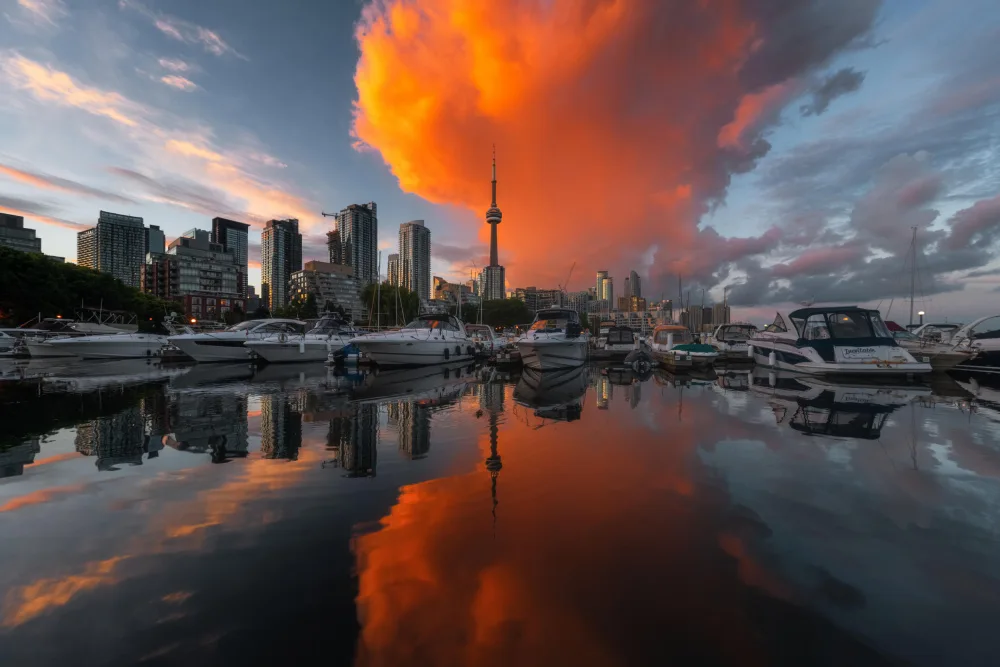 Zhang, Steve: Brennen Sie in Toronto