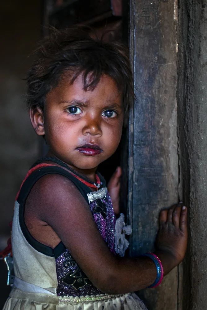 Kalla, Vivek: "Innocence of the Tribe"