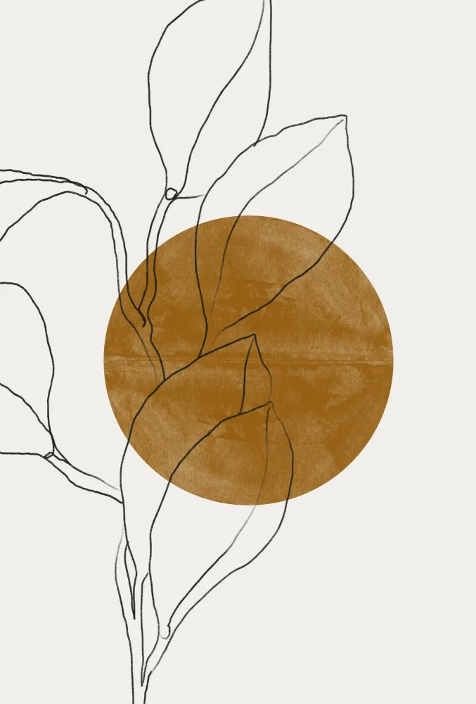 Studio, Miuus The: Blume und Sonne