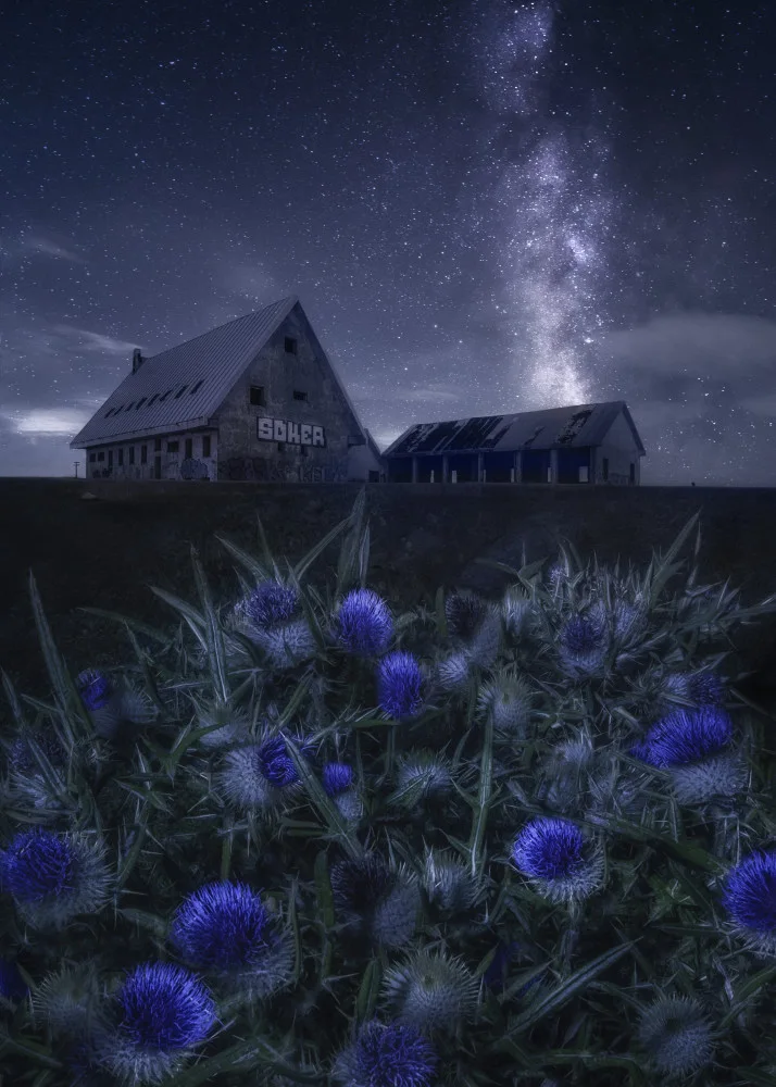 Osuna, Fran: Nuit bleue