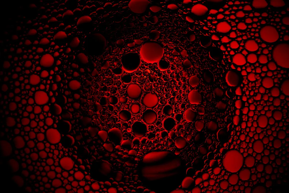 Danilov, Vladislav: Blut