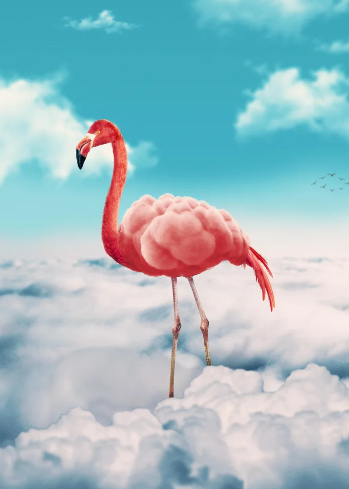 Barizi, Al: Flamingo In The Clouds