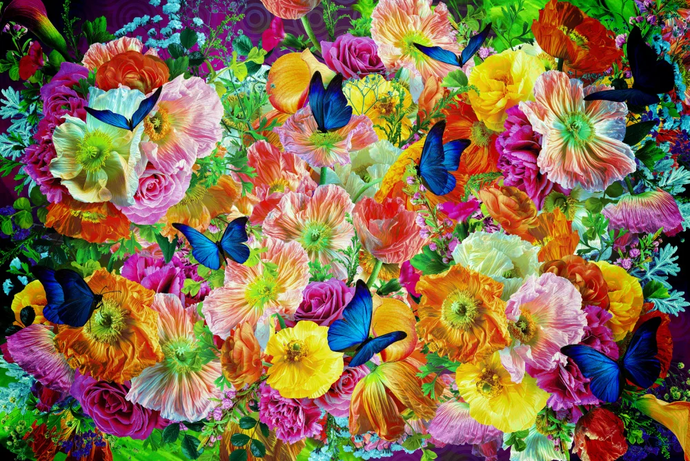 Skellern, Sue: Summer Breeze Cancan