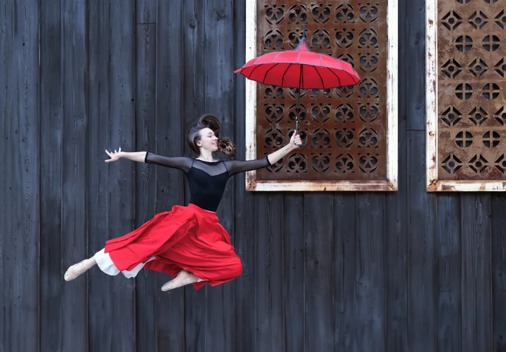 Wang, Catherine: Danza in cornice