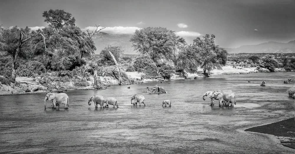 Sink, C. Jeffrey: Samburu incredibile