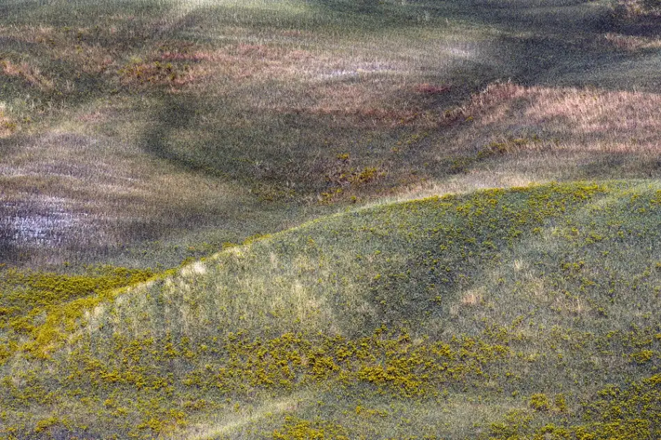 Kravanja, Jure: Terra dei colori VII