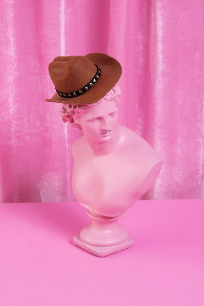 Ramiro, Julia: Cowboy in Rosa