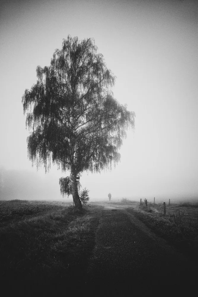 Kuavi, Robert: Hinter den Kulissen