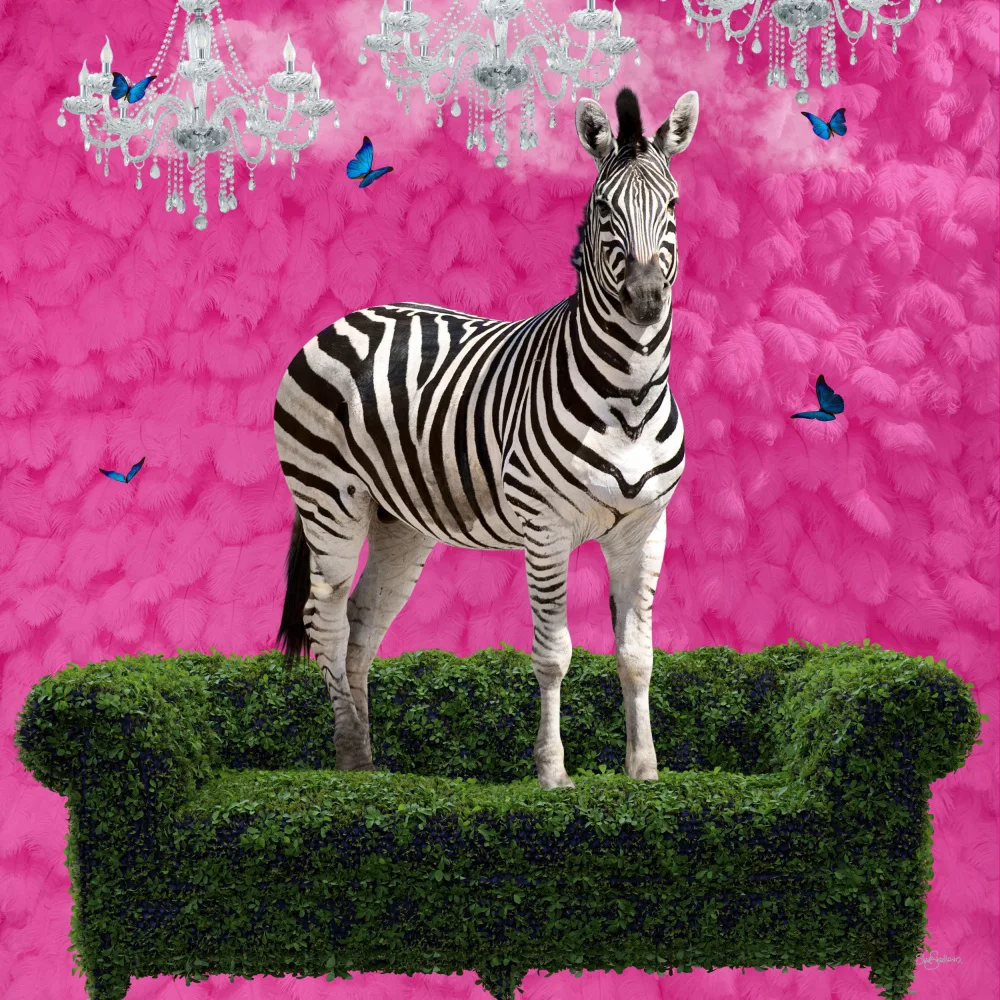 Skellern, Sue: Zebra vivace libera su un divano verde
