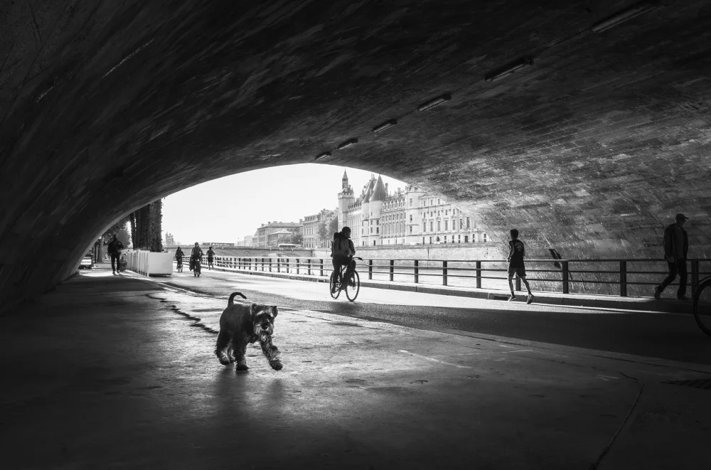 Prioteasa, Sebastian: Passeggiata mattutina