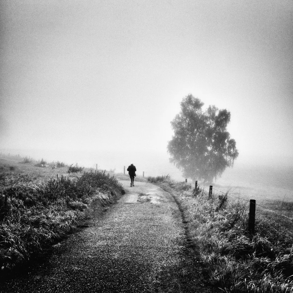 Kuavi, Robert: Hinter den Kulissen II