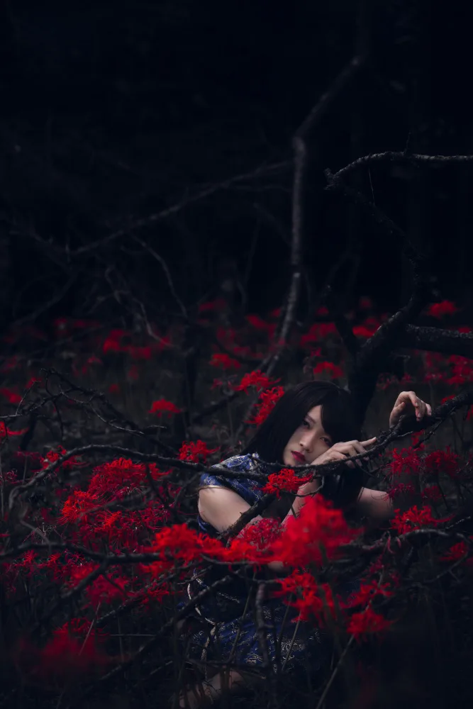 Sonokawa, Jun: Foresta fitta