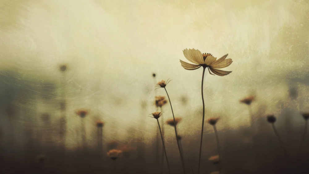 Treechild: Nature nostalgique n°1