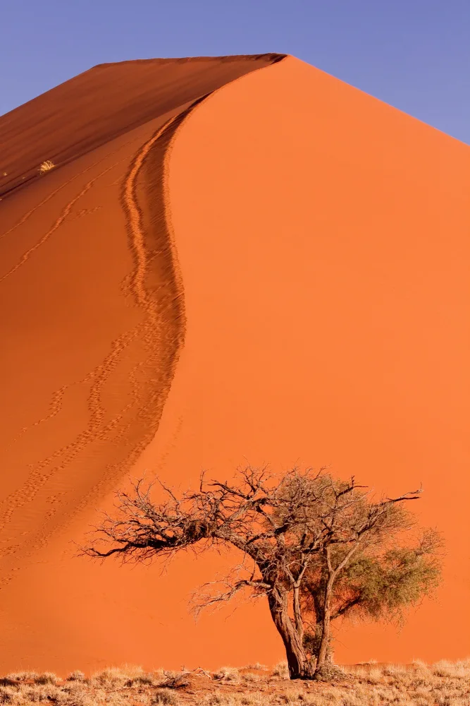Lombard, Dirk: Dune du désert