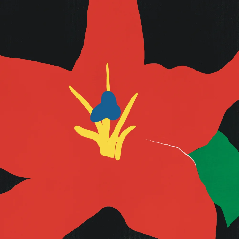 Dean, Little: Close up red flower
