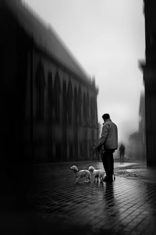Jassim, Amer: Senza titolo