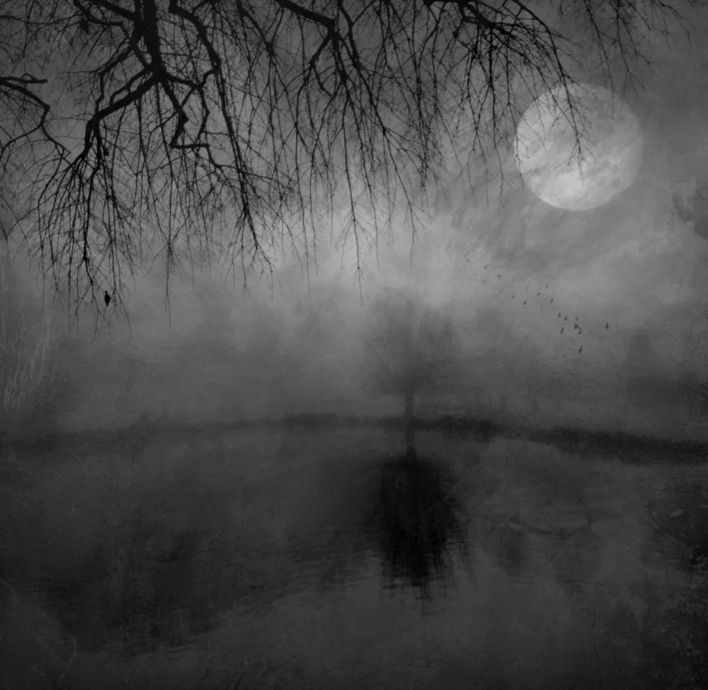 Fabrowski, Robert: Luna di novembre