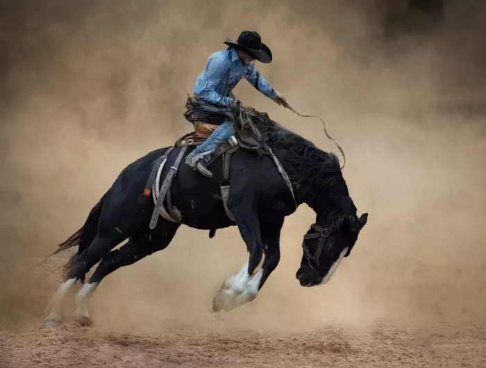 Lyons, Jane: Classico
