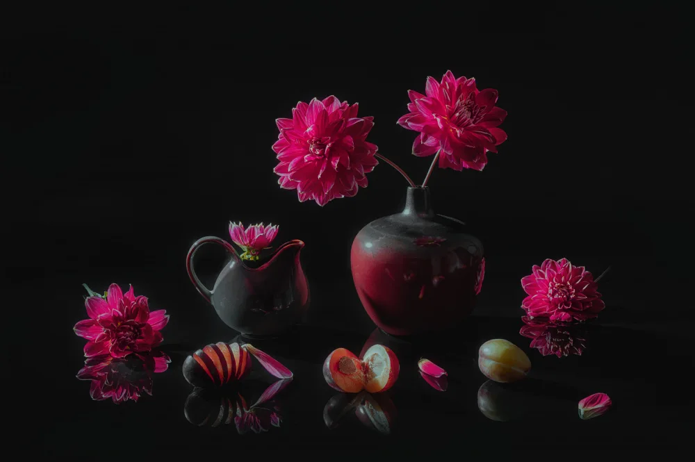 Jacobs, Lydia: Jiřinky purpurové
