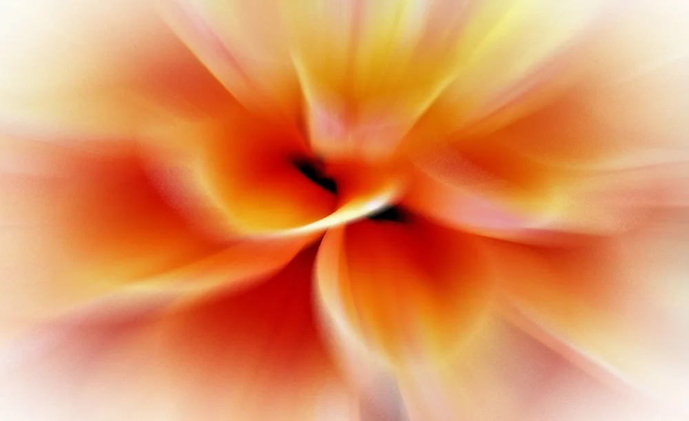 Cseresnjes, Anna: Fiori
