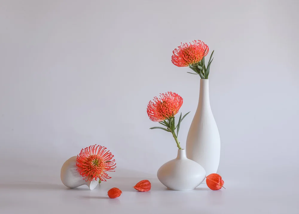 Sheng, Alice: nature morte 107