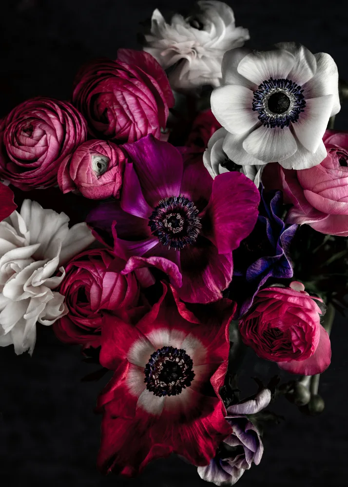 Böhmer, Mareike: Fleurs sombres 1