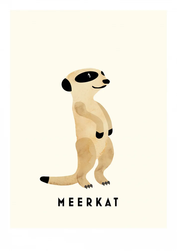 Wintzell, Erik: Meerkat