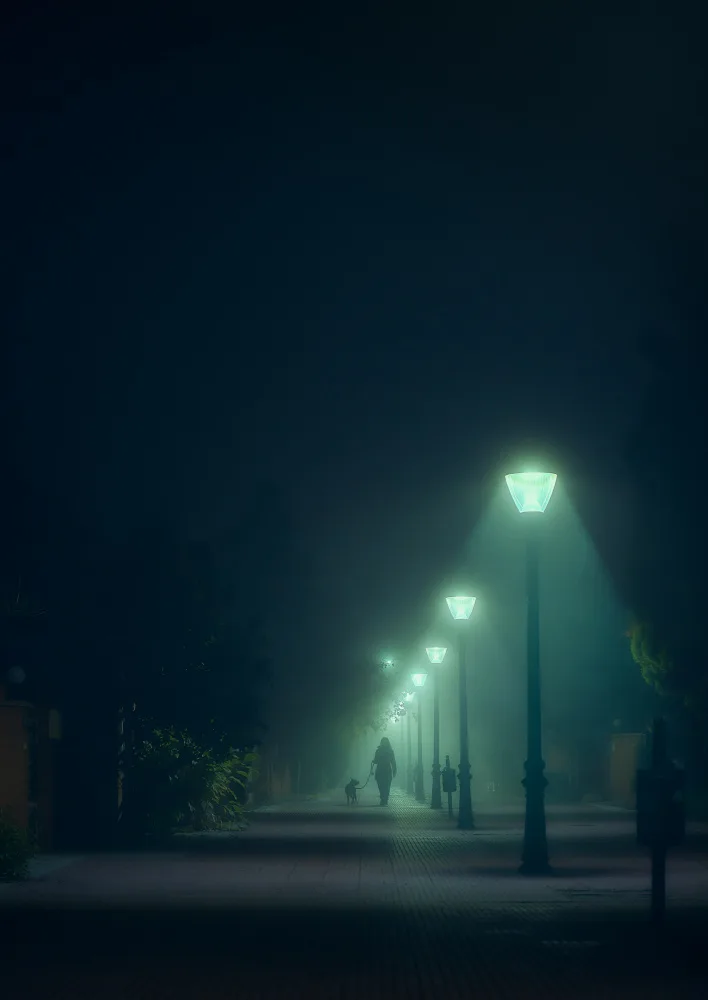 Martínez, Hernández Carlos: Nella nebbia
